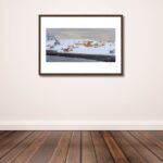 Arctic winter Sarnesfjorden I