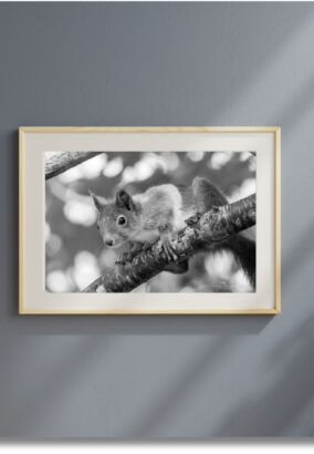 iscover Fine Art Photography for walls to transform your home, cabin or office. Shop online with Eva Eidsheim Photography.