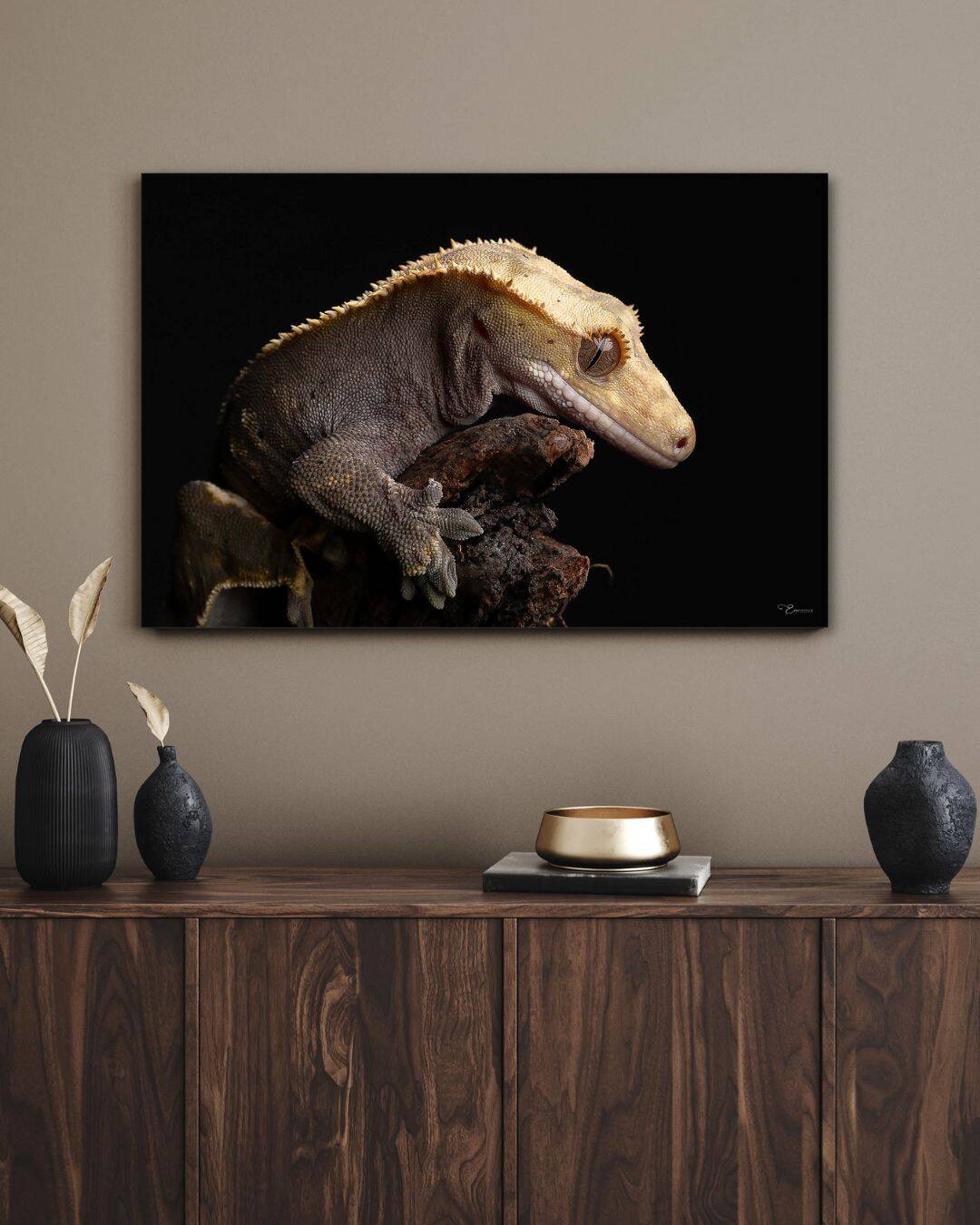 Fine Art Prints. Gecko III. Visit the gallery to the Norwegian photographer Eva