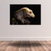 Fine Art Prints. Gecko III. Visit the gallery to the Norwegian photographer Eva
