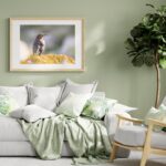 Fine Art Print - Wings of hope at dawn I . Visit the gallery to the Norwegian photographer Eva Virkesdal Eidsheim.