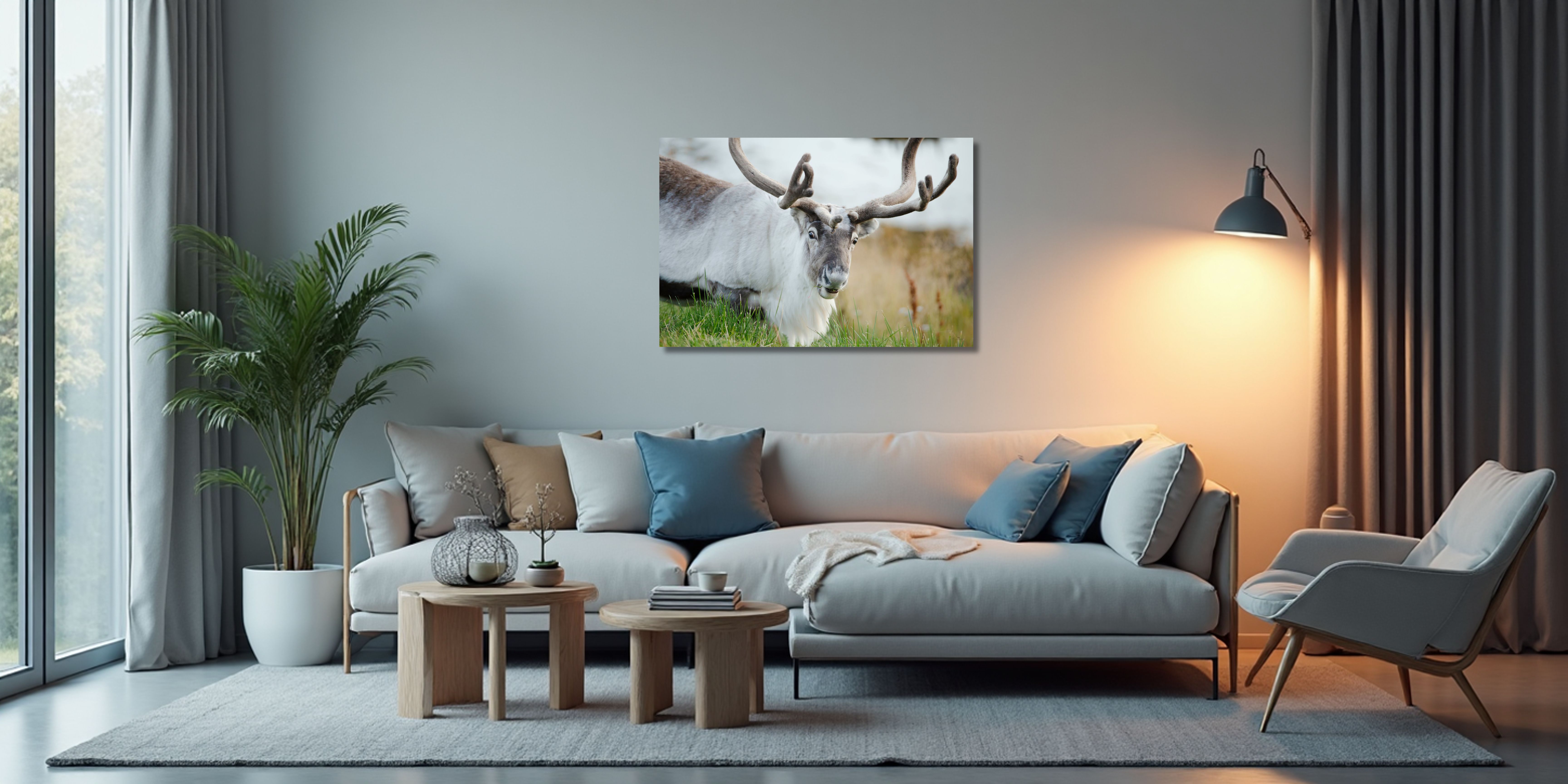 Fine Art Prints. Reindeer Seiland National Park III. Visit the gallery of the Norwegian photographer Eva Virkesdal Eidsheim.