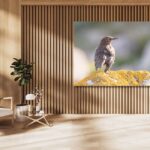 Fine Art Print - Wings of hope at dawn I . Visit the gallery to the Norwegian photographer Eva Virkesdal Eidsheim.