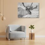 Fine Art Prints. Reindeer Seiland National Park I. Visit the gallery to the Norwegian photographer Eva Virkesdal Eidsheim.
