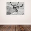 Fine Art Prints. Reindeer Seiland National Park I. Visit the gallery to the Norwegian photographer Eva Virkesdal Eidsheim.