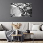 Fine Art Prints. Reindeer Seiland National Park II. Visit the gallery to the Norwegian photographer Eva Virkesdal Eidsheim.