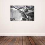 Fine Art Prints. Reindeer Seiland National Park II. Visit the gallery to the Norwegian photographer Eva Virkesdal Eidsheim.
