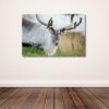 Fine Art Prints. Reindeer Seiland National Park III. Visit the gallery to the Norwegian photographer Eva Virkesdal Eidsheim.