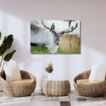 Fine Art Prints. Reindeer Seiland National Park III. Visit the gallery to the Norwegian photographer Eva Virkesdal Eidsheim.