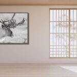 Fine Art Prints. Reindeer Seiland National Park I. Visit the gallery to the Norwegian photographer Eva Virkesdal Eidsheim.