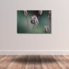 Fine Art Prints - Wilted flower with snailI. All photographs are available in a limited edition of only 250 prints. Visit the gallery to the Norwegian photographer Eva Virkesdal Eidsheim.
