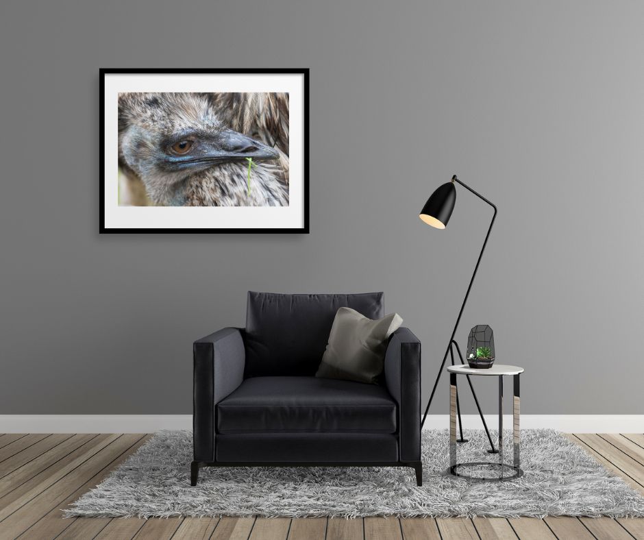 Fine Art Prints - Ostrich feather splendor I. All photographs are available in a limited edition of only 250 prints. Visit the gallery of the Norwegian photographer Eva Virkesdal Eidsheim.