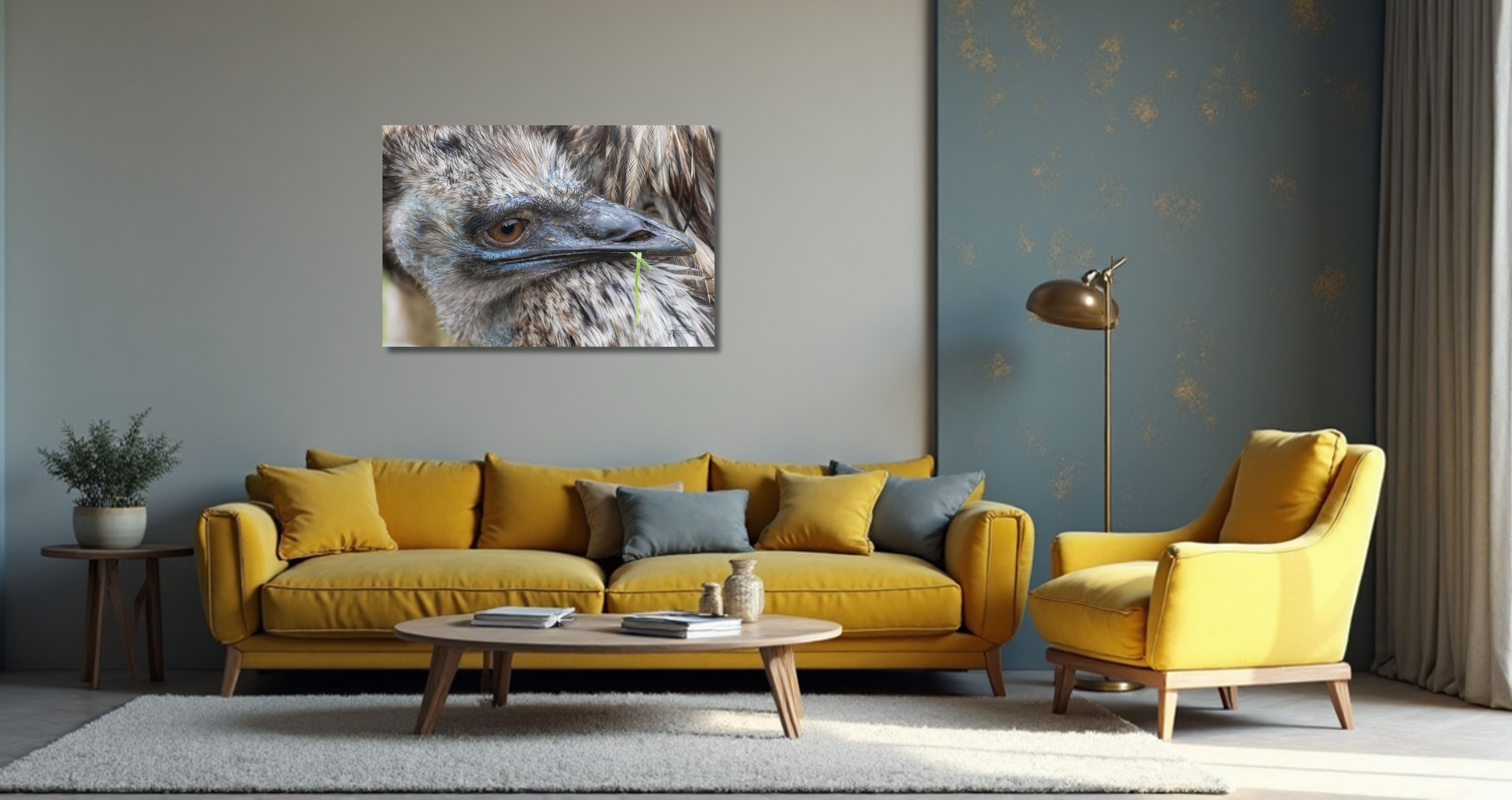 Fine Art Prints - Ostrich feather splendor I. All photographs are available in a limited edition of only 250 prints. Visit the gallery of the Norwegian photographer Eva Virkesdal Eidsheim.