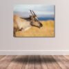 Fine Art Prints. Young reindeer Finnmark I. Visit the gallery to the Norwegian photographer Eva Virkesdal Eidsheim.
