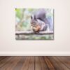 Fine Art Prints. Squirrel with nut III. Visit the gallery to the Norwegian photographer Eva Virkesdal Eidsheim.