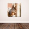 Fine Art Prints. Squirrel in forest III. Visit the gallery of the Norwegian photographer Eva Virkesdal Eidsheim.
