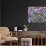 Fine Art Prints - Bumblebee on purble flower II. All photographs are available in a limited edition of only 250 prints. Visit the gallery to the Norwegian photographer Eva Virkesdal Eidsheim.