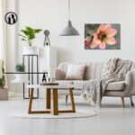 Fine Art Prints - Orange Dahlia with bumblebee I. All photographs are available in a limited edition of only 250 prints. Visit the gallery to the Norwegian photographer Eva Virkesdal Eidsheim.