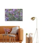 Fine Art Prints - Bumblebee on purble flower I. All photographs are available in a limited edition of only 250 prints. Visit the gallery to the Norwegian photographer Eva Virkesdal Eidsheim.