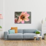 Fine Art Prints - Orange Dahlia with bumblebee I. All photographs are available in a limited edition of only 250 prints. Visit the gallery to the Norwegian photographer Eva Virkesdal Eidsheim.