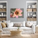 Fine Art Prints - Orange Dahlia with bumblebee I. All photographs are available in a limited edition of only 250 prints. Visit the gallery to the Norwegian photographer Eva Virkesdal Eidsheim.