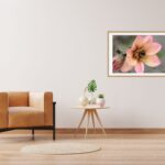 Fine Art Prints - Orange Dahlia with bumblebee I. All photographs are available in a limited edition of only 250 prints. Visit the gallery to the Norwegian photographer Eva Virkesdal Eidsheim.