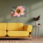 Fine Art Prints - Orange Dahlia with bumblebee I. All photographs are available in a limited edition of only 250 prints. Visit the gallery to the Norwegian photographer Eva Virkesdal Eidsheim.