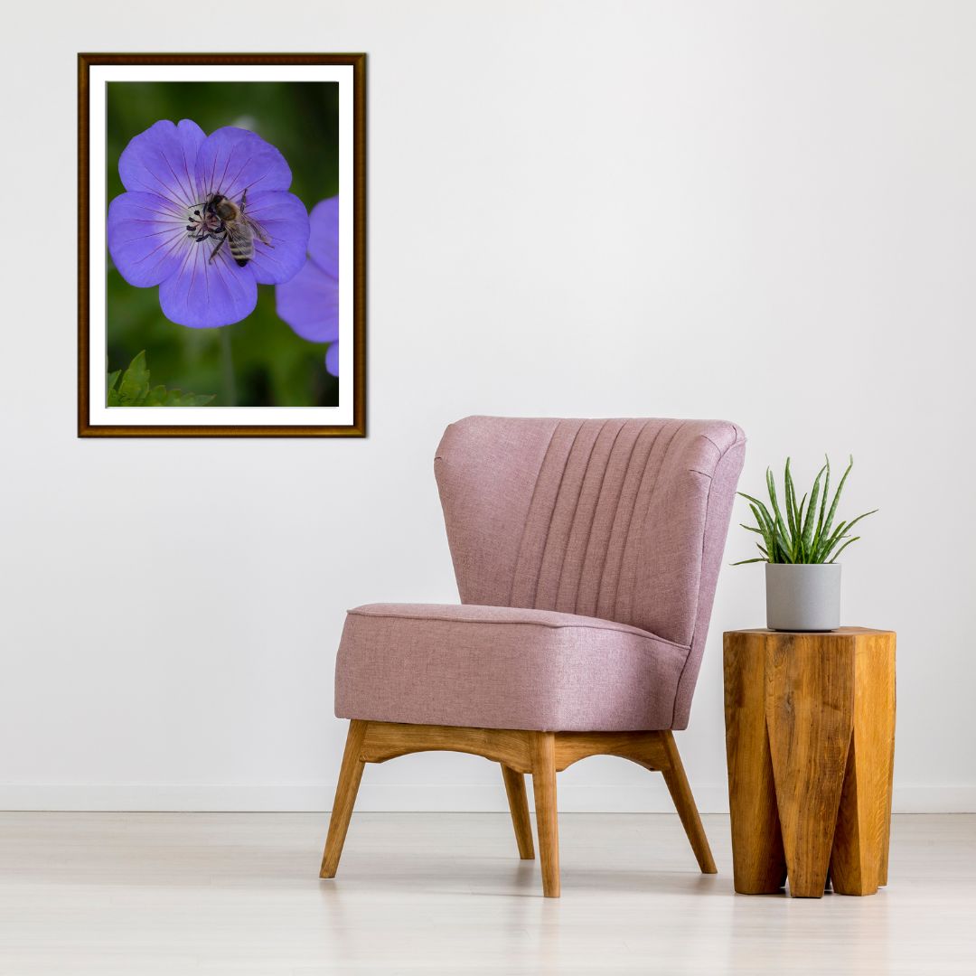 Fine Art Print - Purple flower with honeybee I. Visit the gallery to the norwegian photographer Eva Virkesdal Eidsheim.