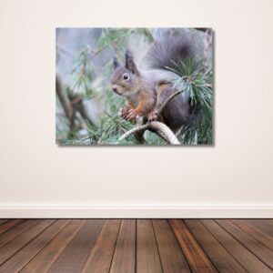Squirrel with nut I