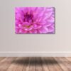 Fine Art Print - Pink Dahlia in Bloom I . Visit the gallery to the norwegian photographer Eva Virkesdal Eidsheim.