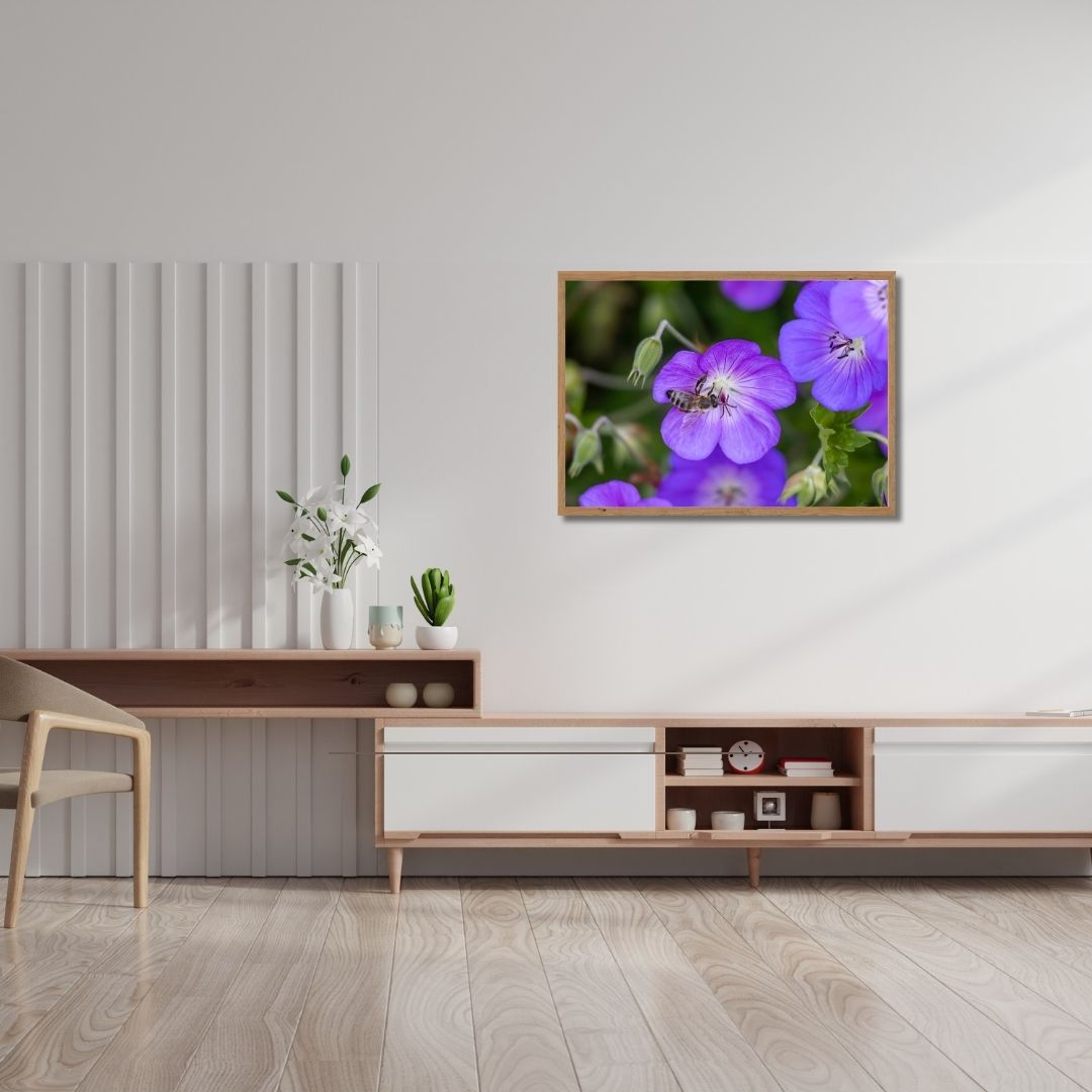 Fine Art Print - Blooming purple flower with honeybee II. Visit the gallery to the norwegian photographer Eva Virkesdal Eidsheim.