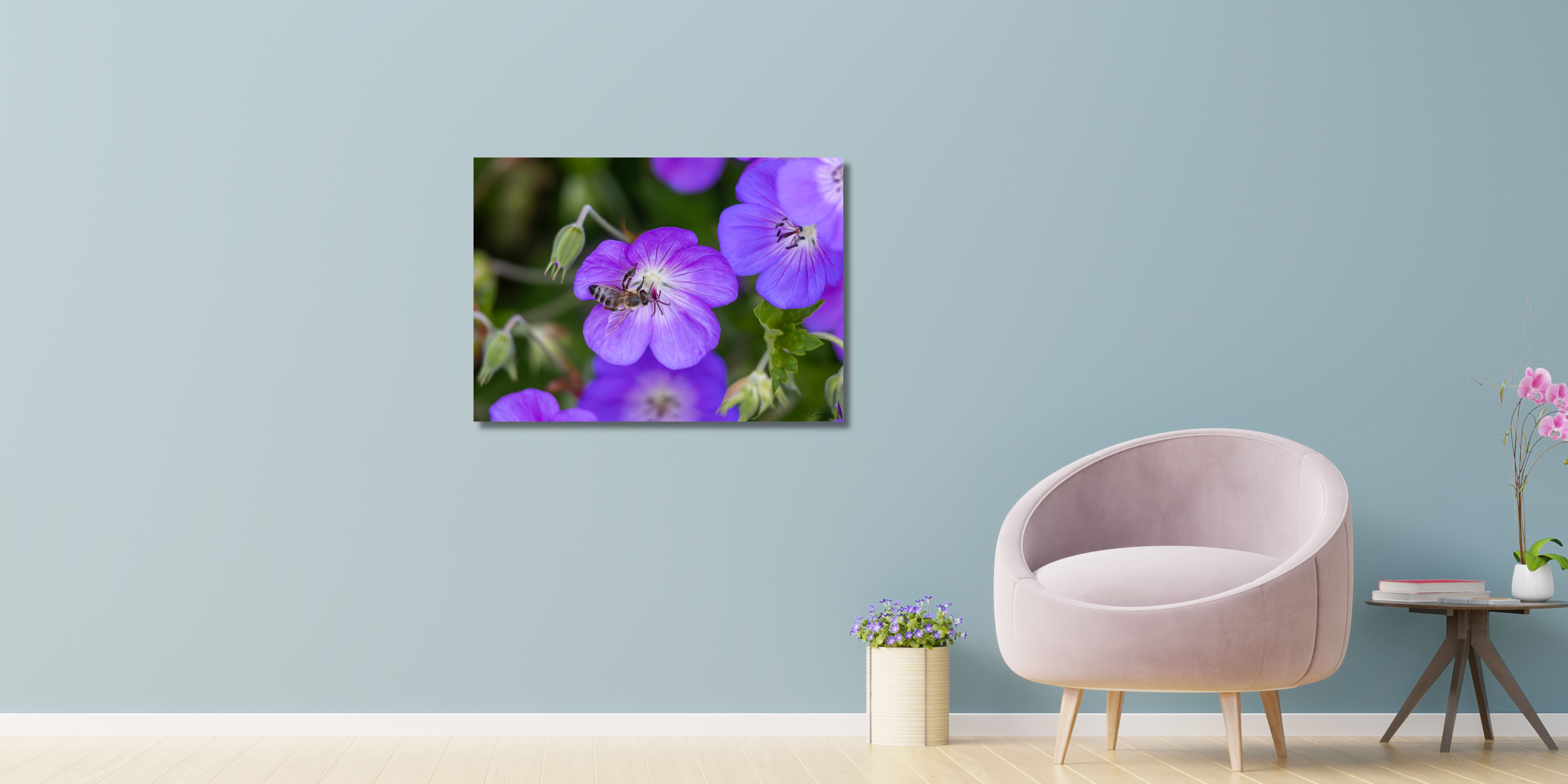 Fine Art Print - Blooming purple flower with honeybee II. Visit the gallery to the norwegian photographer Eva Virkesdal Eidsheim.