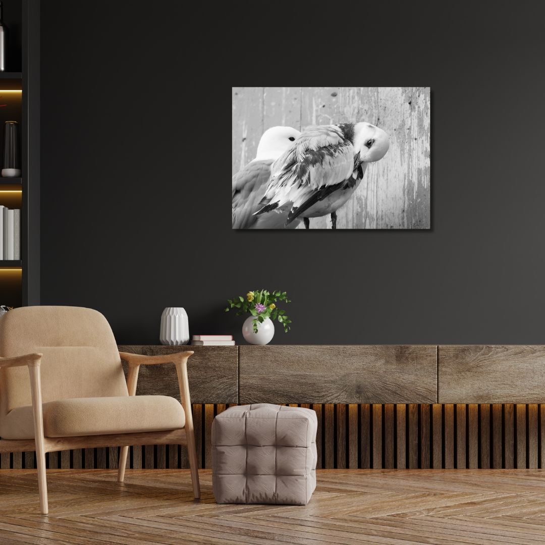 Fine Art Prints. Kittiwake at nest Lofoten II. Visit the gallery of the Norwegian photographer Eva Virkesdal Eidsheim.