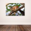 Fine Art Prints - Squirrel in forest I. All photographs are available in a limited edition of only 250 prints. Visit the gallery of the Norwegian photographer Eva Virkesdal Eidsheim.