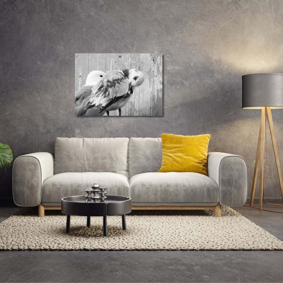 Fine Art Prints. Kittiwake at nest Lofoten II. Visit the gallery of the Norwegian photographer Eva Virkesdal Eidsheim.
