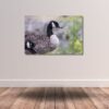 Fine Art Prints. Branta canadensis I. Visit the gallery of the Norwegian photographer Eva Virkesdal Eidsheim.