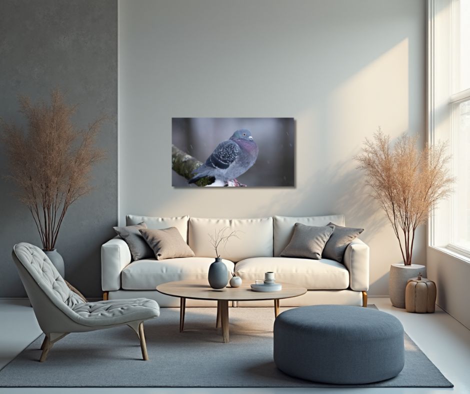 Fine Art Print - Dove on snowly branch I. Visit the gallery to the norwegian photographer Eva Virkesdal Eidsheim.