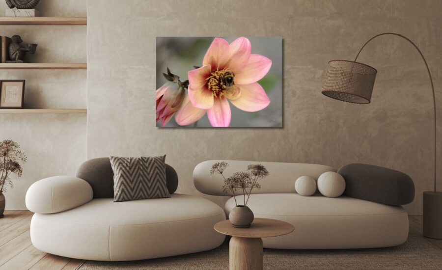 Substainable nature photography in limited editions - exclusive Fine Art Prints available in the online shop Eva Eidsheim Photography